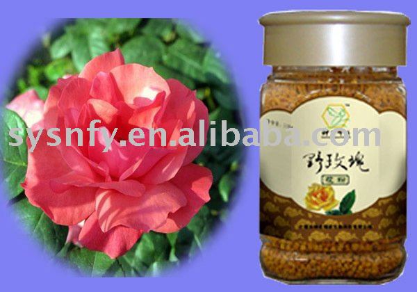 wild rose honey bee pollen powder