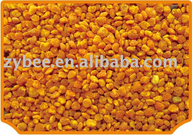 zhuoyu- Sunflower   pollen 