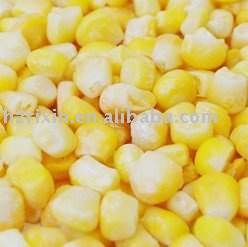  iqf   corn  kernel