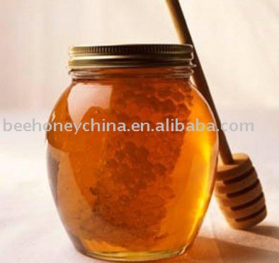 2011 new crop white honey