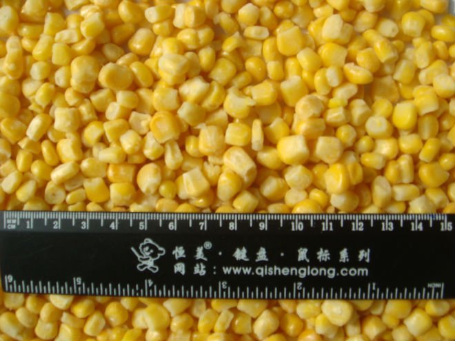 China Yellow Corn Kernel