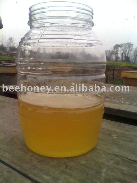 Rape   Flower   Honey 