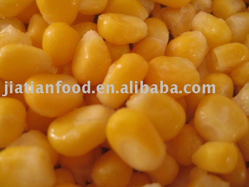 Frozen sweet corns(2010)iqf sweet corns