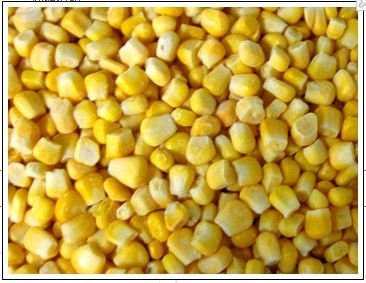 Super Sweet Corn Kernel