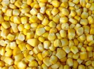 Sweet Corn Kernel -Grade A