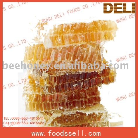 Hive Honey 2010