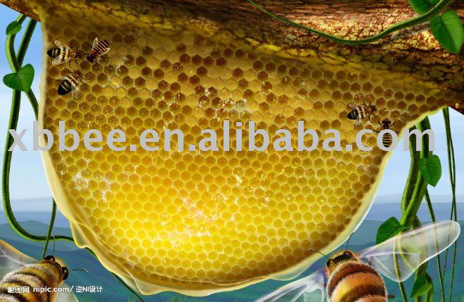 chinese raw acacia bee honey