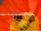 top quality bee wax,bee product,honey