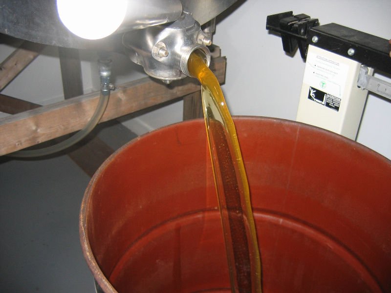 100% pure natural  honey  procured from natural  hives 