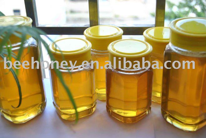 Wild Honey bees