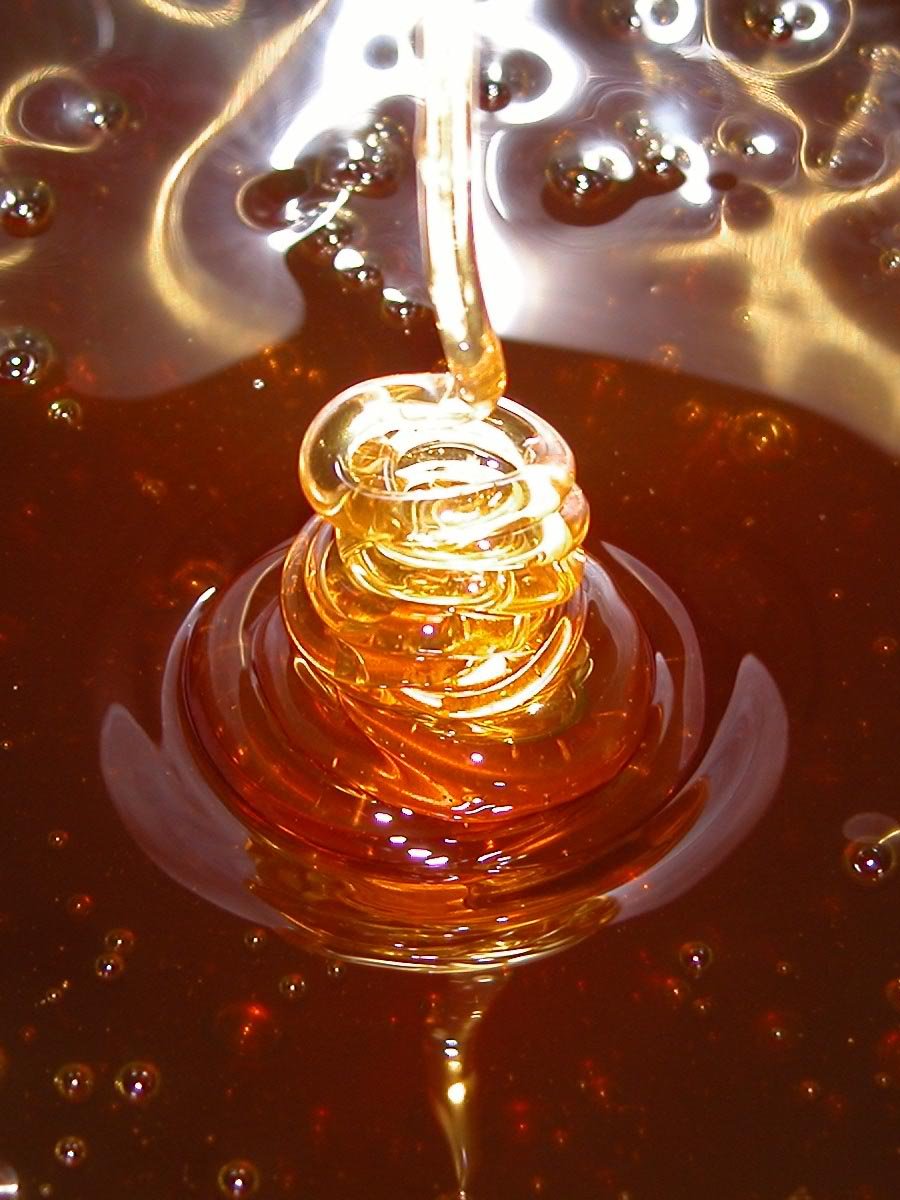 100 % Pure Natural Honey and Honey Comb Available for Sales