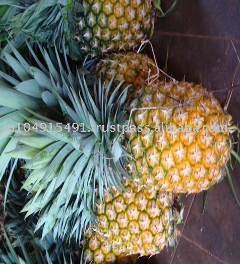 tropical pineapple, queen pineapple, pineapple fruit