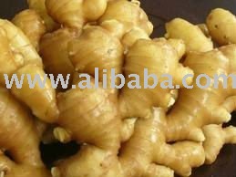 Fresh Ginger