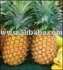 Natural PINNEAPLE