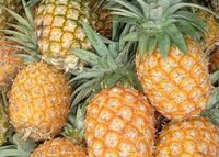 FRESH PINNEAPLE