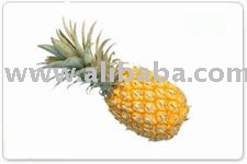 Fresh Pineapples for sale