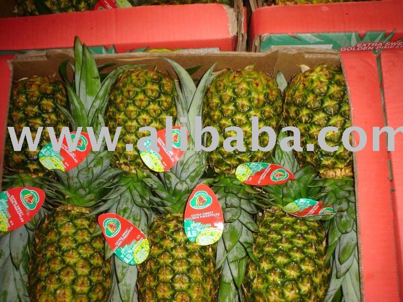 FRESH TROPICAL PINEAPLES