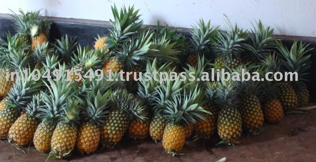  Tropical   Pineapple 