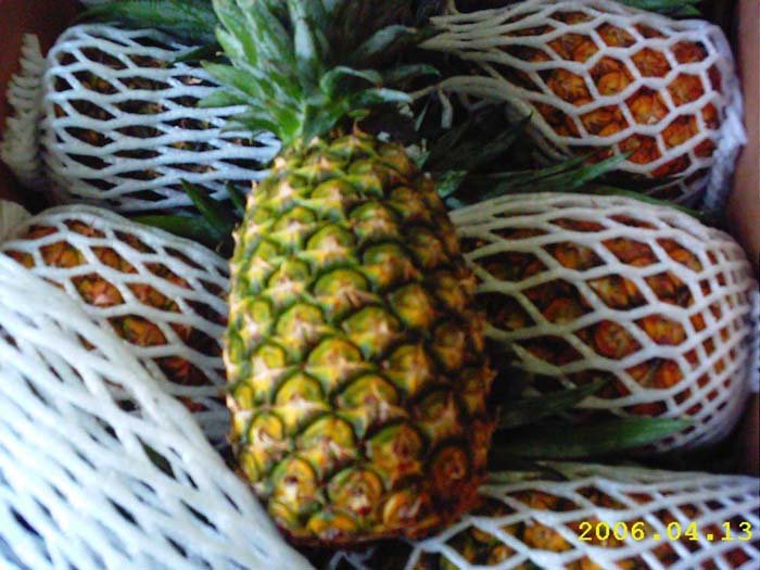  Fresh   Pineapples  - Extra Sweet