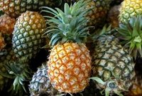 Sell Offer for Fresh Pine Apples