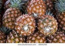 fresh pineaples