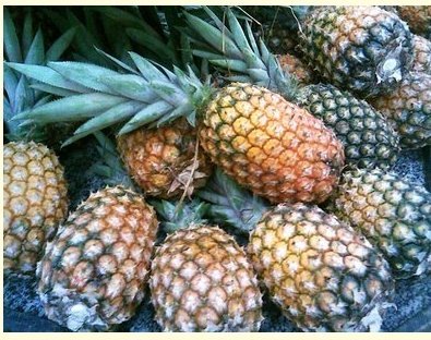 Pineapple