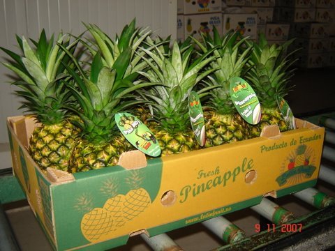 Pineapple