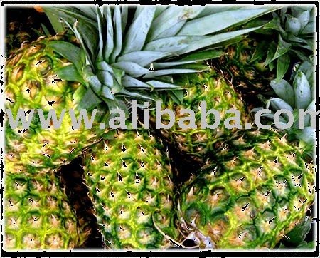 Pineapple  Fruits 