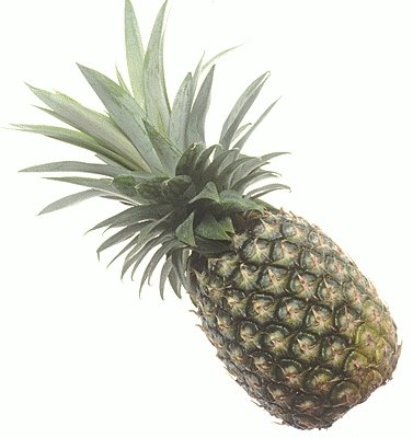 Sri Lanka Pineapples