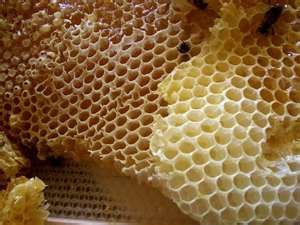 We supply  honey ,bee wax, honey   drink s and other  honey  products