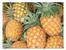 pineapples