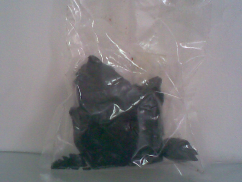 Propolis Powder