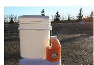 5 Gallons Raw Clover Honey