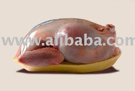 Export Frozen Chicken from Peru