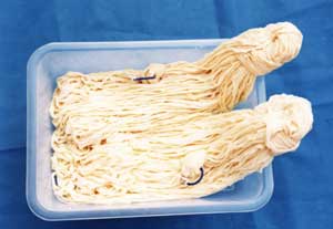 natuer salted hog casing