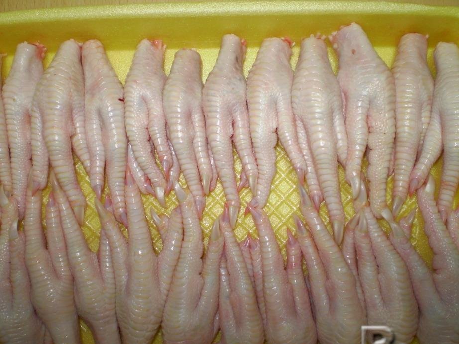 Halal  Frozen  Chicken Feet And Paws Un  Processed 