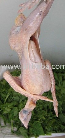 wild animal meat