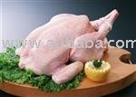 chicken meat