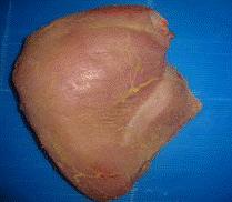 Frozen Turkey Breast