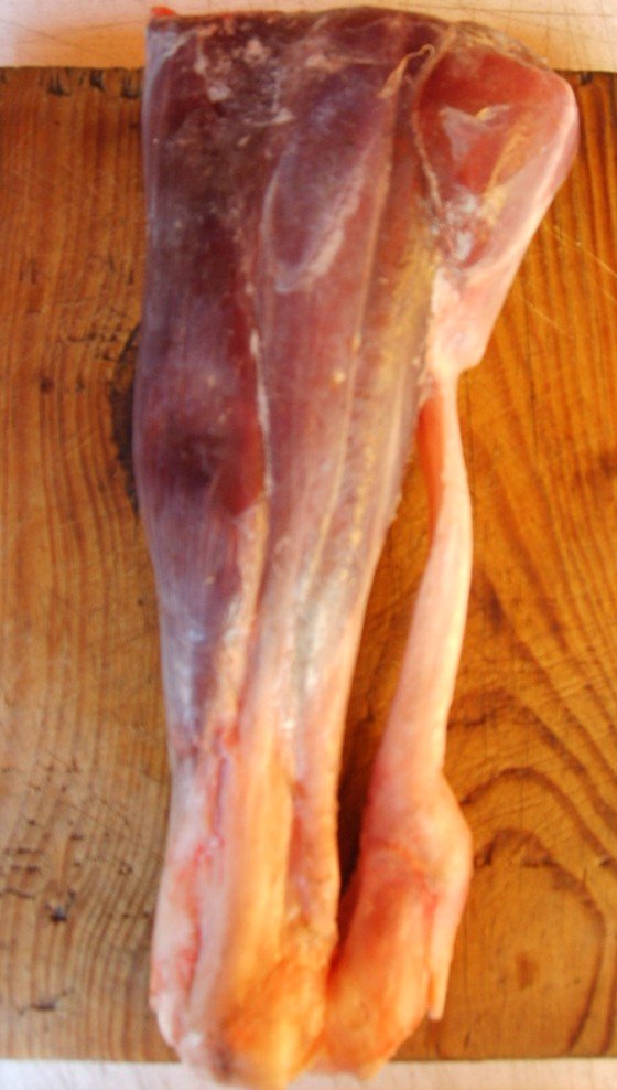 Deer Low Leg