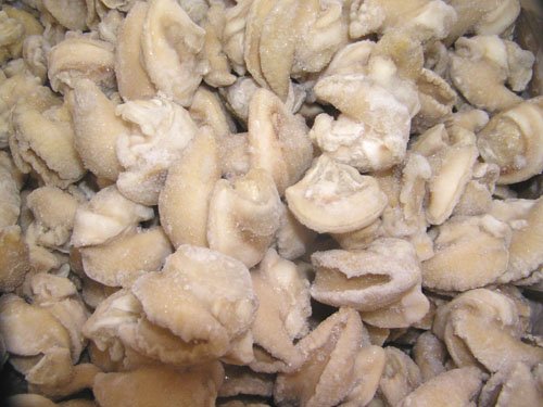 fresh  frozen   snail s,life  snail s