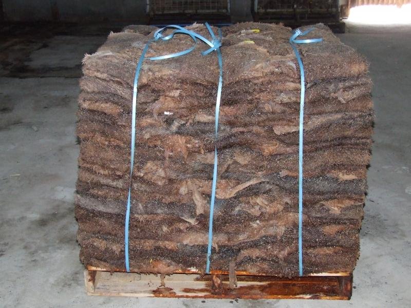 Kangaroo meat and Skins for sale
