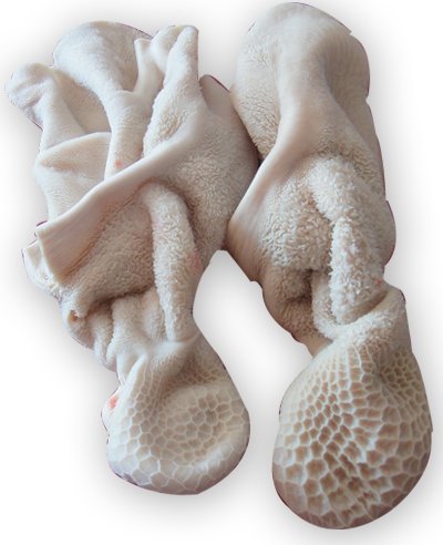 sheep tripe