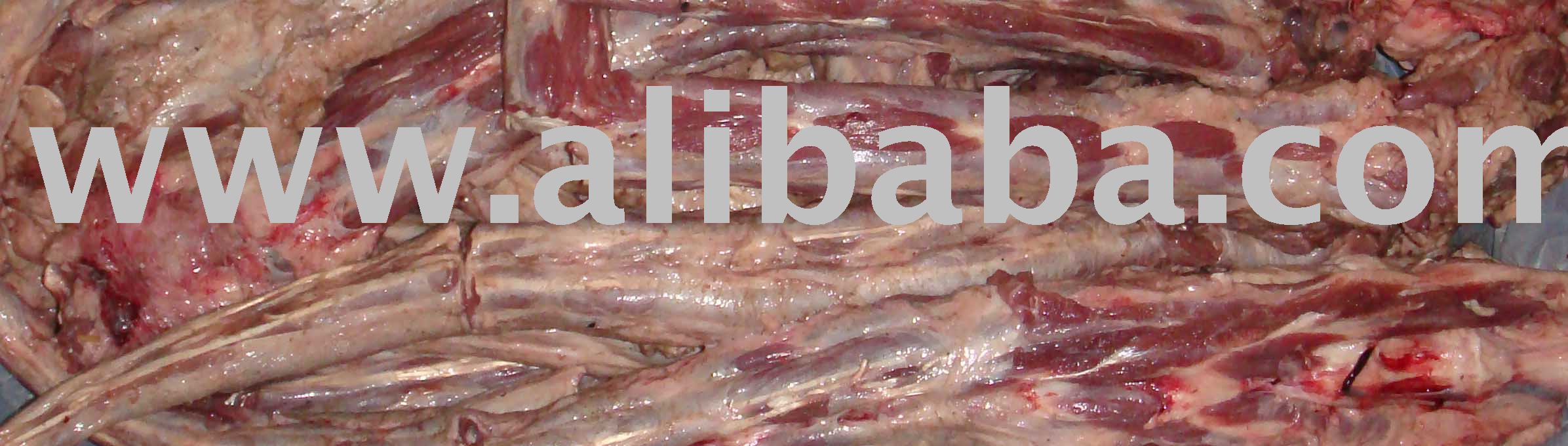 toung & tail meat
