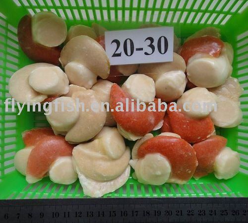 Sea scallops with roe on