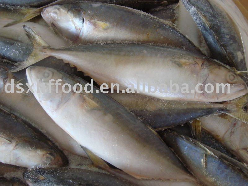 Frozen seafood