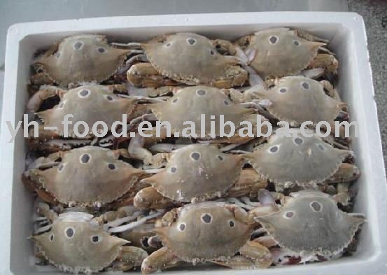 Chinese frozen  brown   crab 
