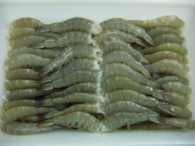  Frozen  Raw Vannamei  Shrimp , headless, shell-on (703)