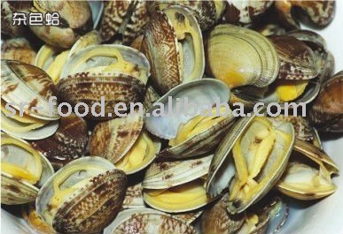 frozen clams