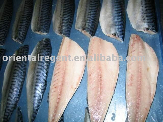 Fresh frozen mackerel fillet